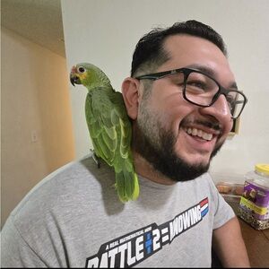 Meet your Posher, Nestor